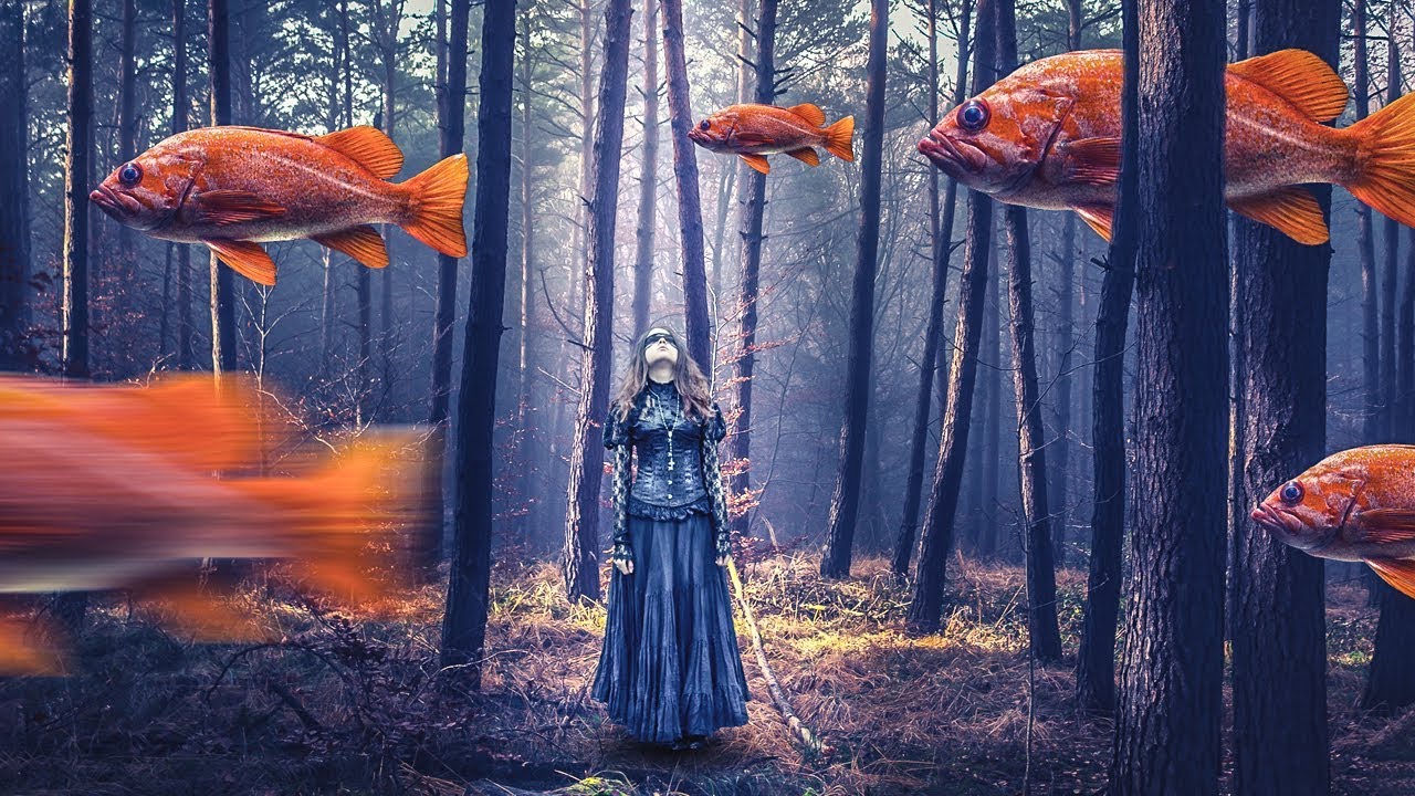 photoshop学起来难吗,ps总是学不会