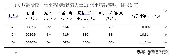 鸡场养雏鸡怎么增加体重,雏鸡怎么管理最健康