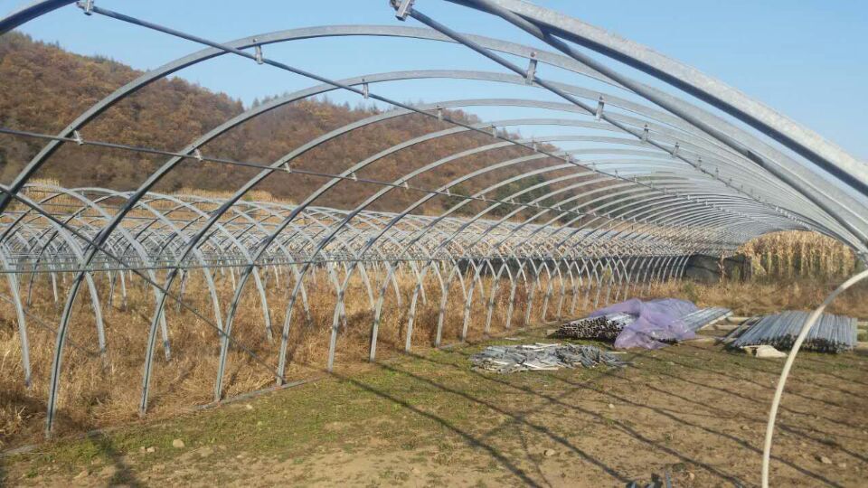 大棚骨架加固,大棚骨架怎么加固防压塌