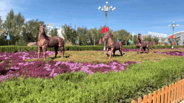 额济纳胡杨林中国最美秋色,中国最美秋色额济纳胡杨林