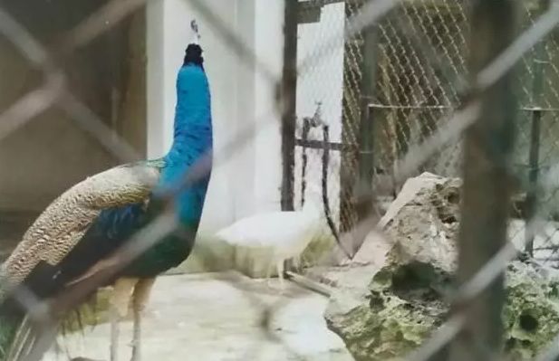 宁波最新超级地标,宁波标志性地标