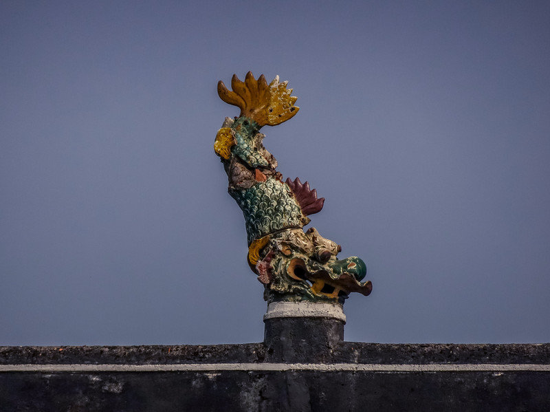 星湖冬日燃情，比落羽杉还要红的是什么？#我和湿地有个约会#