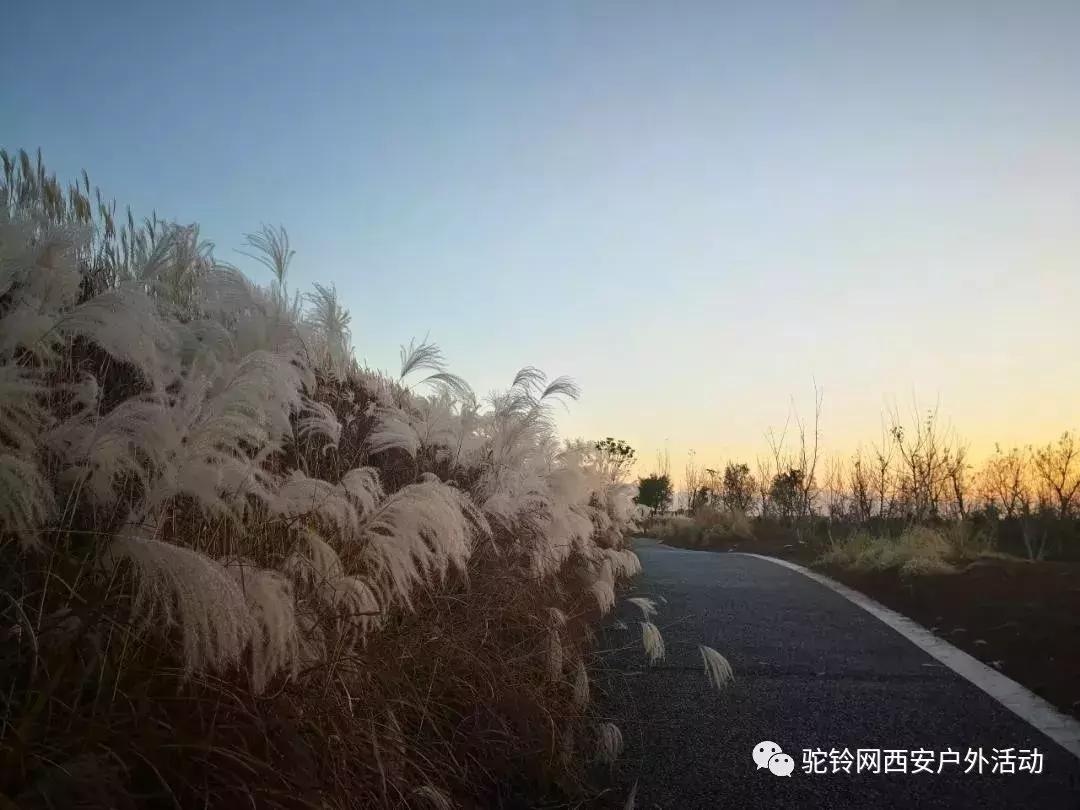 万众期待的2018白鹿原路跑活动12月8日重磅来袭~