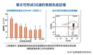 癌症患者采用免疫治疗方法吗,免疫治疗能治愈癌症患者吗