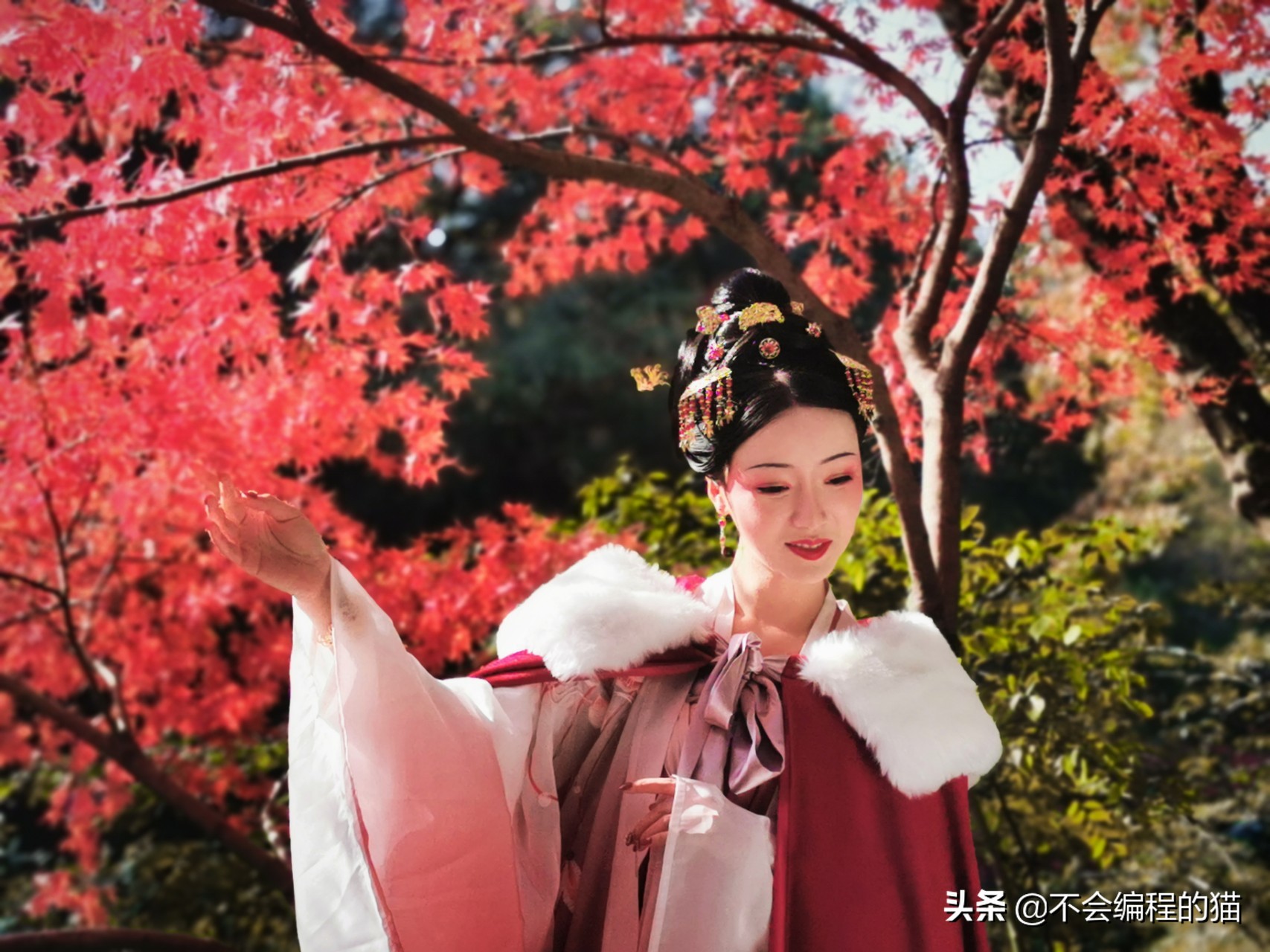 看了十几年的小说但还是无从下笔,看了十多年的小说自己写