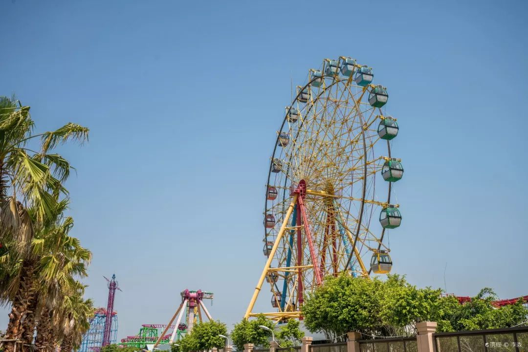 游玩半价票,0元门票玩上海