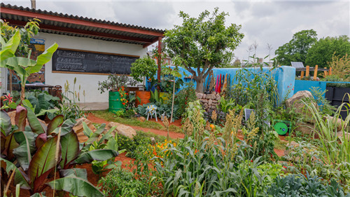 切尔西花展举办,2020年切尔西花展抢先看