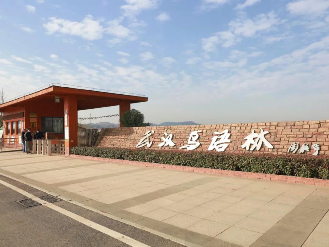 景点疫情防控限量错峰要求,景区疫情防控指南预约错峰