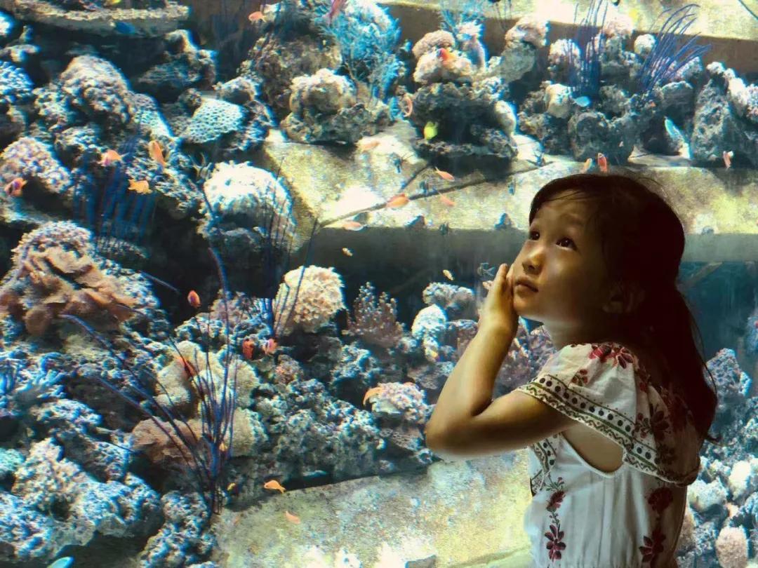 三亚带娃自由行攻略酒店,带娃去三亚旅游攻略住宿推荐