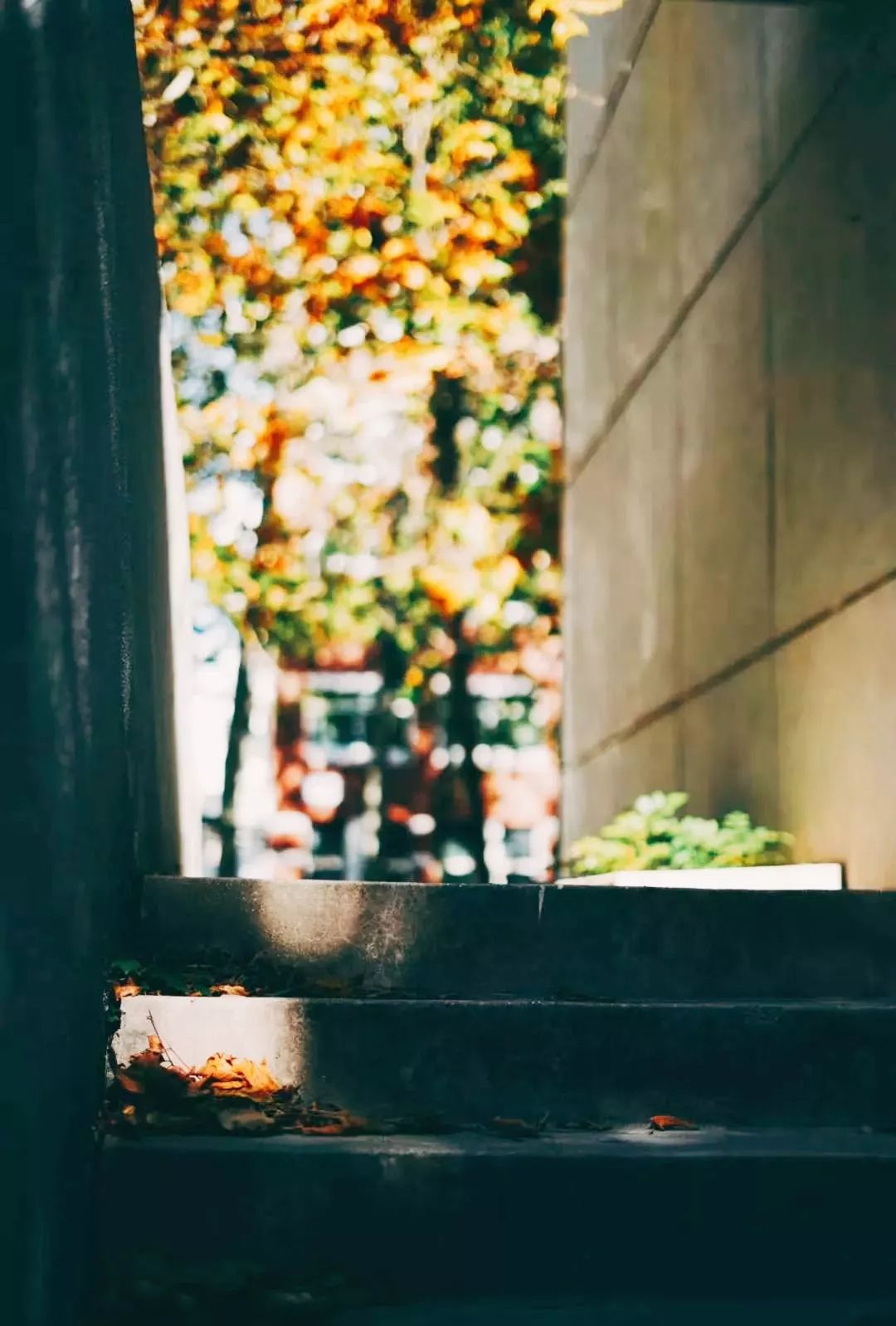 中国民航大学，是时候火了