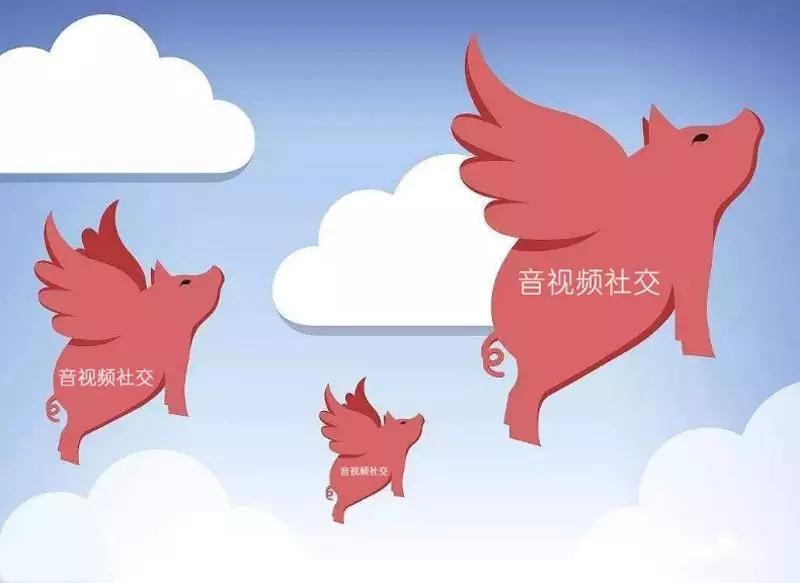 烟花易冷情感视频,烟花易冷热门原声