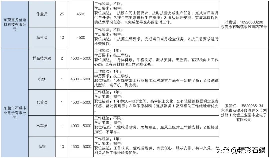 东莞石碣镇招聘编外人员15名,2020石碣政府招聘人员