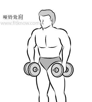 哑铃锻炼肱二头肌方法图解全套,哑铃下蹲锻炼方法图解