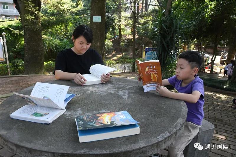 古树群下现“鸟巢书屋”，快来闽侯“悦”读一下