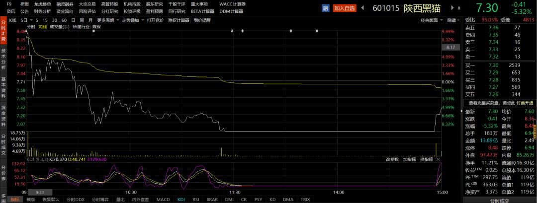 陕西黑猫股票最新预测,陕西黑猫股份明天的走势