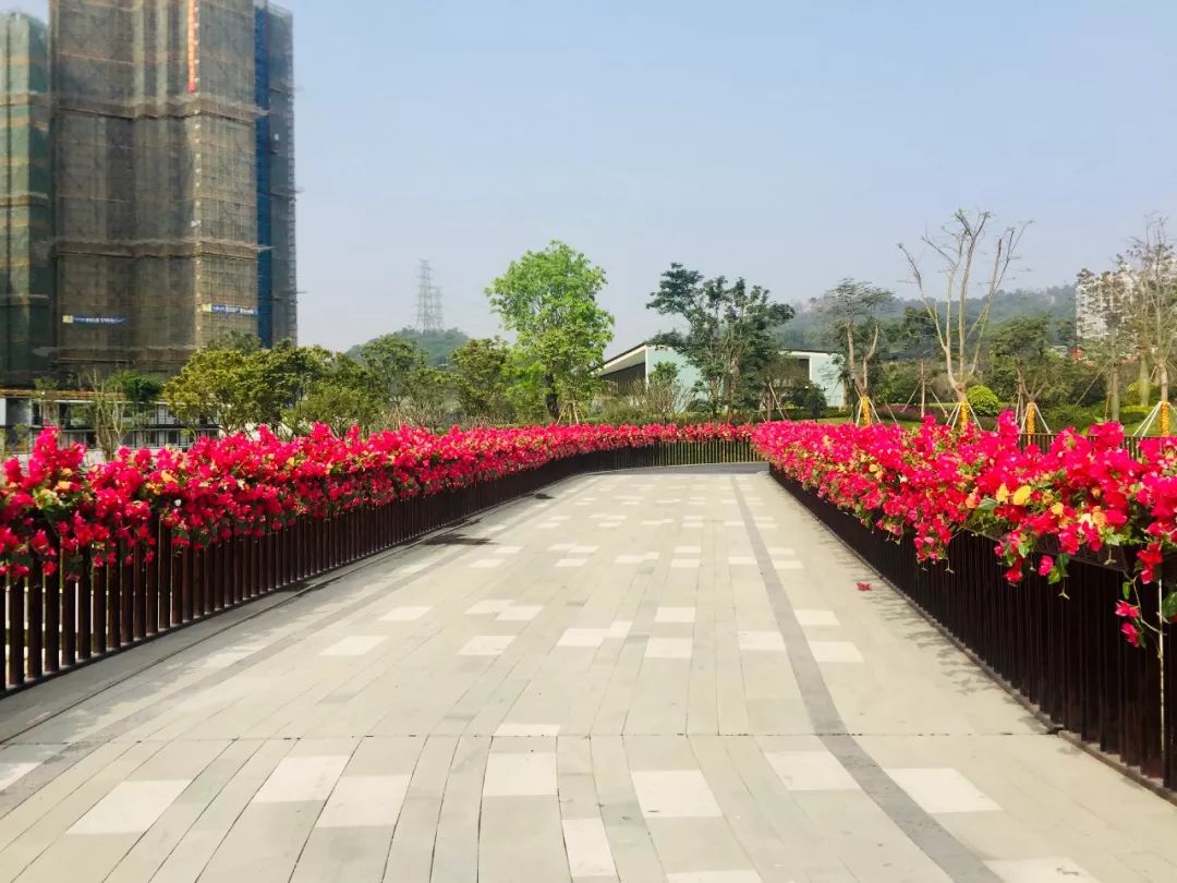 万科公园里6栋115平01户型,万科公园里一期106平户型图