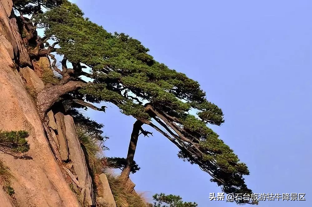 如何介绍牯牛降,牯牛降介绍简介
