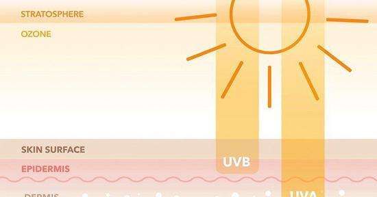 鐞嗚偆娉夐槻鏅掗湝鍜宨sdin闃叉檼闇滃摢涓ソ,isdin闃叉檼闇滃惈4鐢插熀鑻勪簹鍩烘鑴戝悧