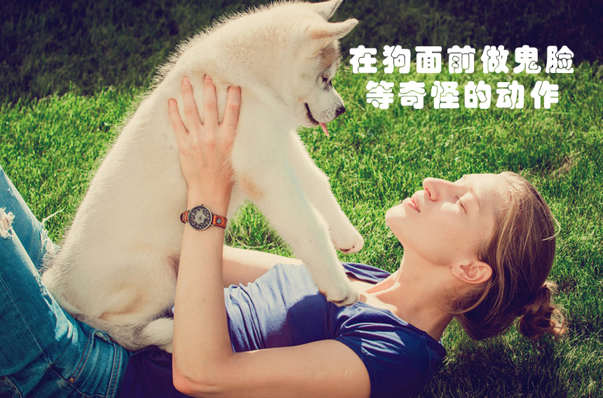 世界上最奇怪的13项禁令,世界各地的禁令