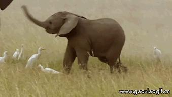 他们被杀之后，依然在爱你