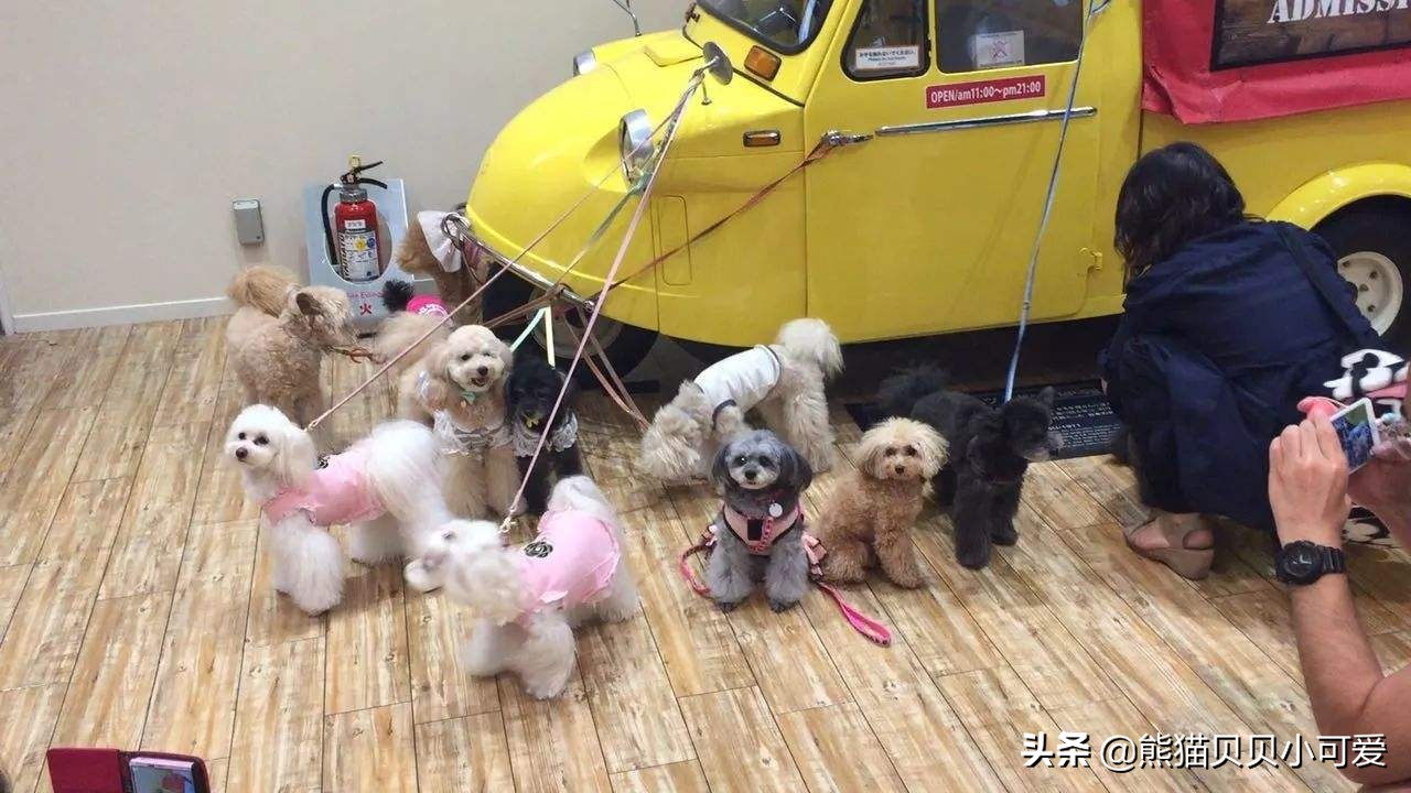 最适合女人创业的开店项目,女性创业的最佳方法