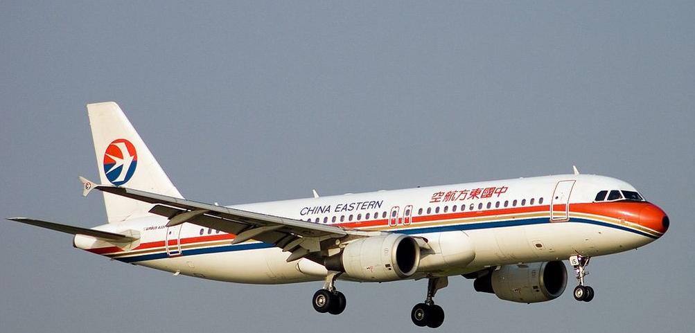 法国工程师治国,法国高级技术工程师