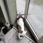 搞笑百米跨栏赛跑,跨栏运动搞笑图