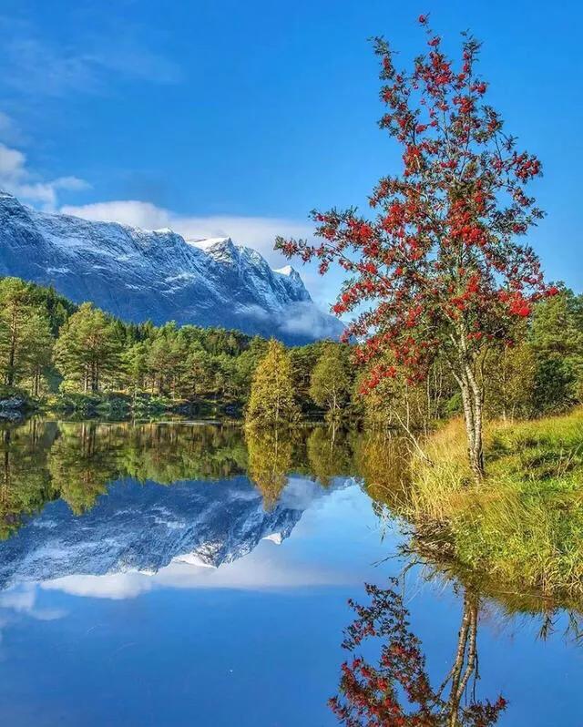 久违的蓝天白云图,看到蓝天白云心情就莫名的好