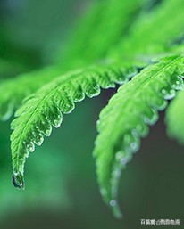 淘金币充值500元有用吗,淘金币高额兑换攻略