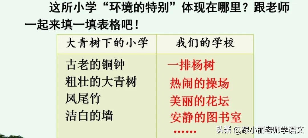 大青树下的小学必会知识点,大青树下的小学必考知识点