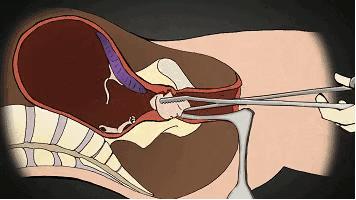几岁开始新生活合适,几岁才能开始新生活