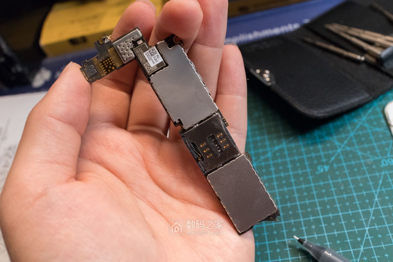 把未拆封的iphone4做成标本,iphone4被做成标本