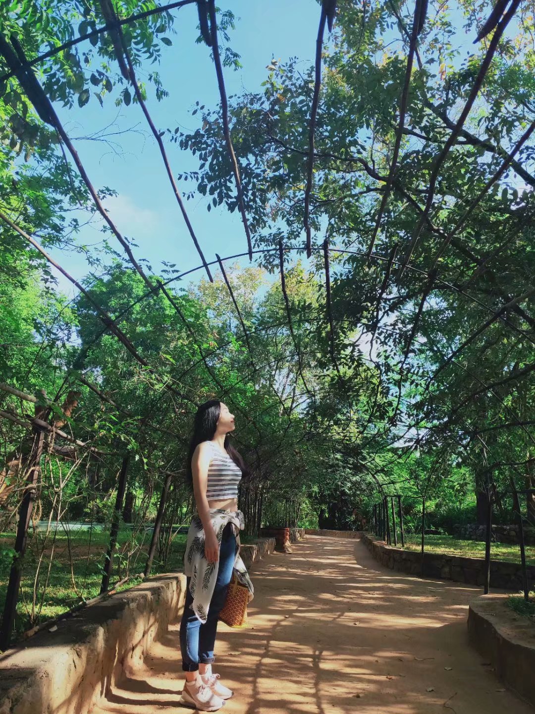 一生必去一次的神奇国度，榴莲白菜价，还有千与千寻里的海上火车