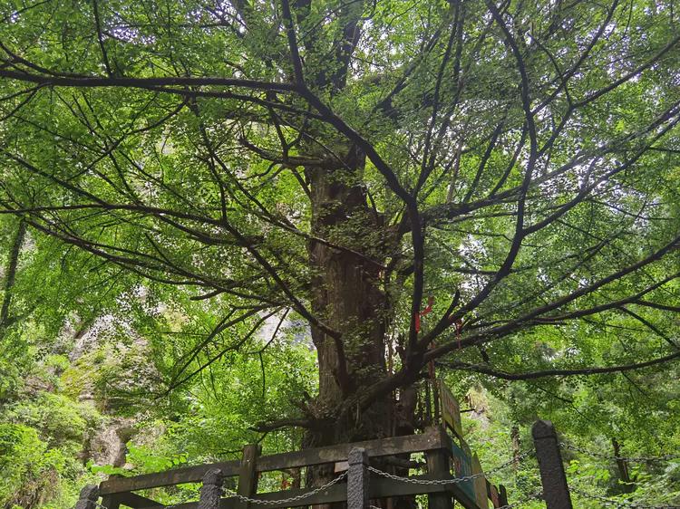 黔南第一山在什么地方,黔南第一山在哪里