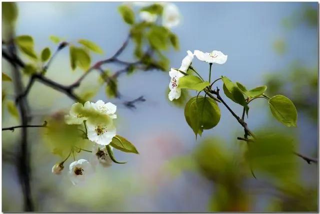 金堂十大景点排行榜,金堂景点排名榜前十