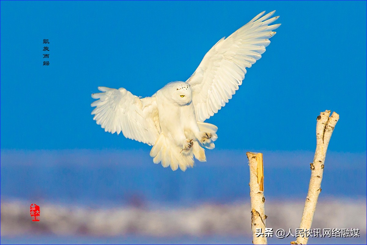 白衣天使大爱无疆的精神,白衣天使大爱无边完整版