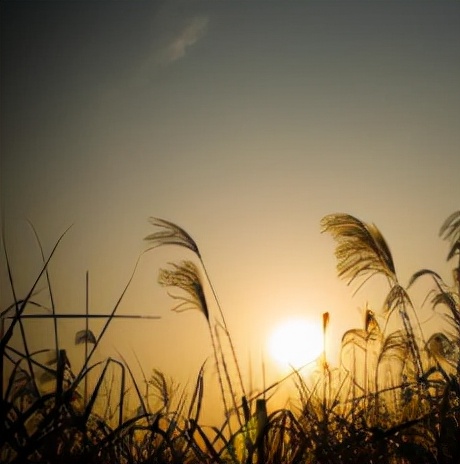 家长反映7岁女儿在学校遭霸凌,家长反映7岁女儿在学校被霸凌