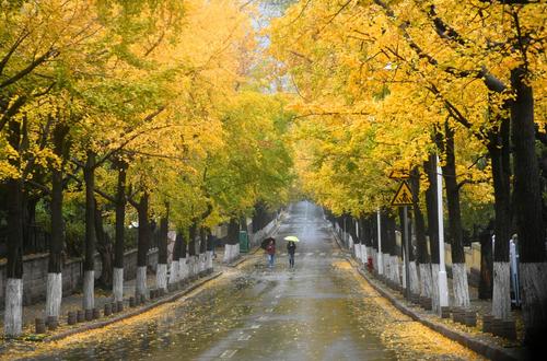 青岛旅游攻略住宿推荐最新,青岛旺季住宿攻略