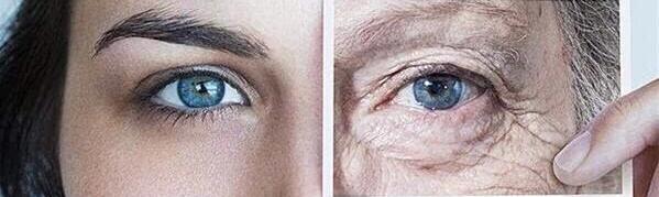 羞愧抑郁,羞愧英文歌曲