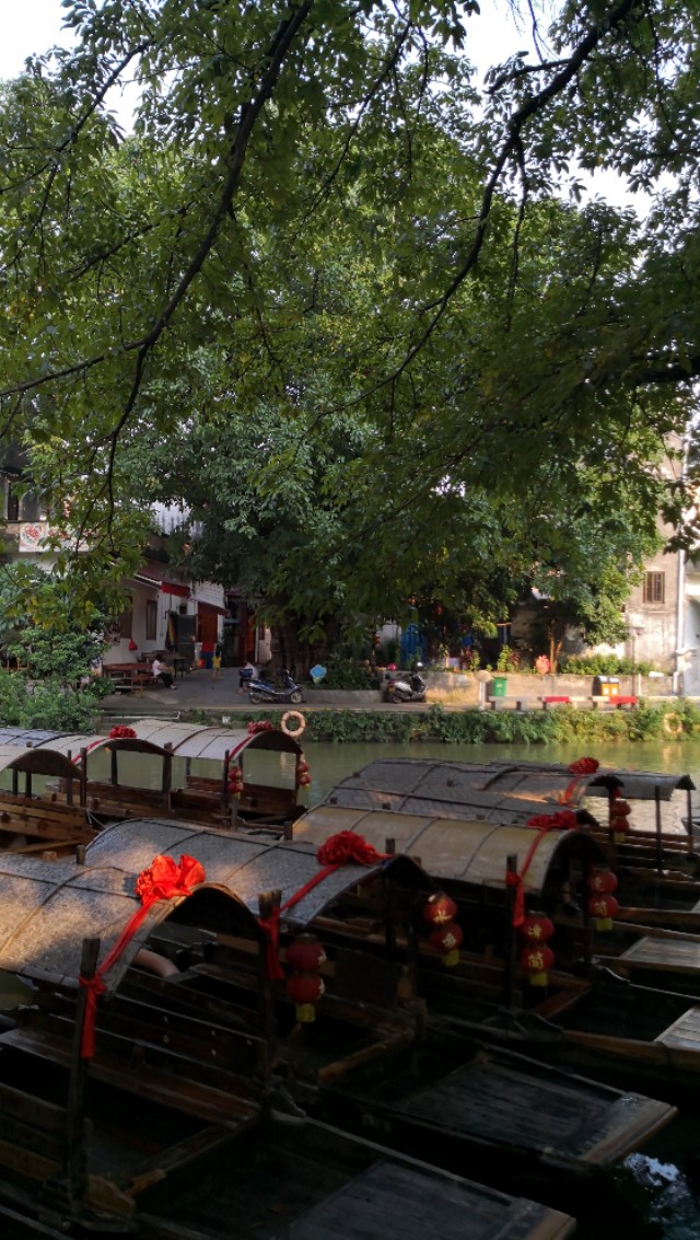 顺德逢简水乡有什么好玩的地方,顺德杏坛逢简水乡一日游攻略