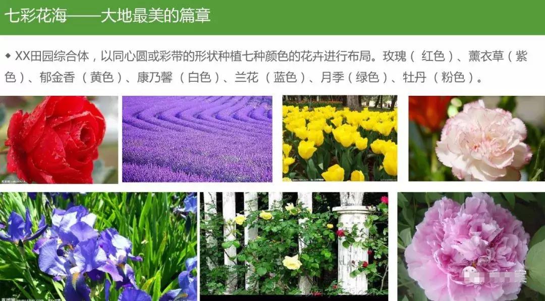 田园综合体类项目策划,田园综合体项目推介书ppt