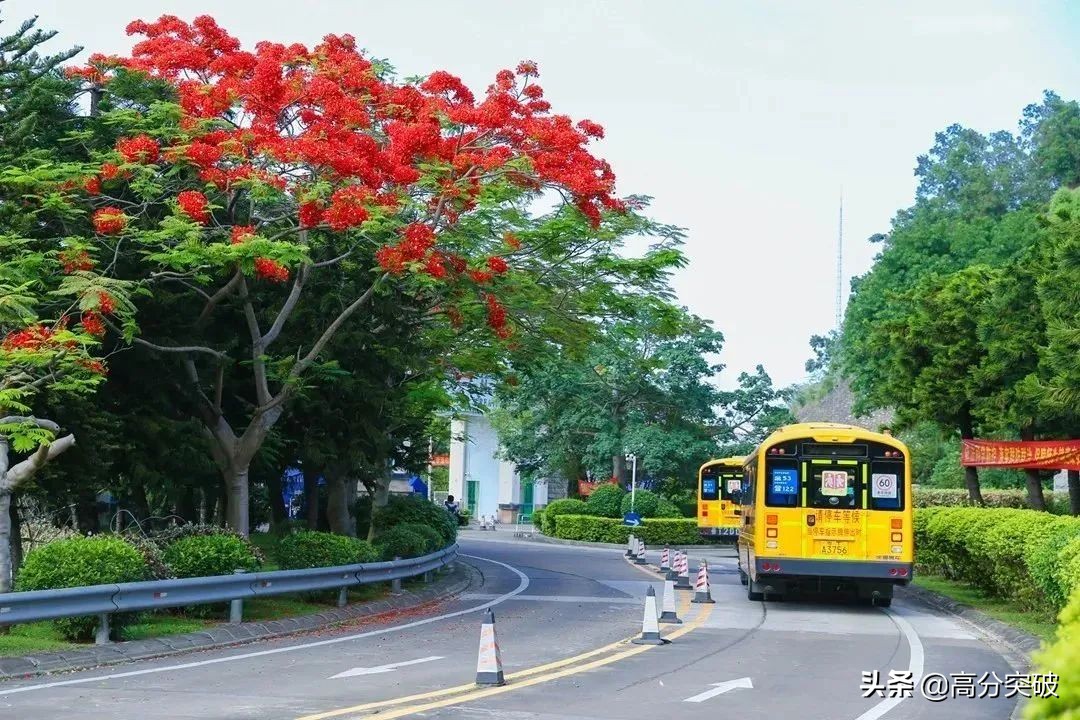 开学复课进行时,开学季告别暑假回归校园