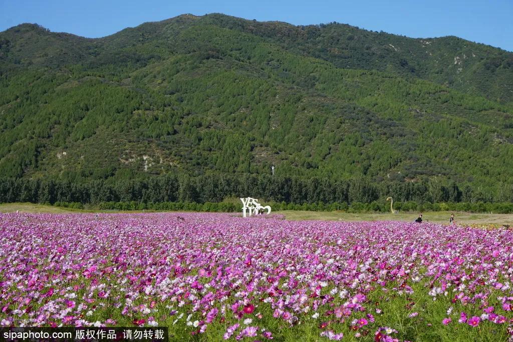 畅游北京5天费用,新版发行69元畅游北京70家景区