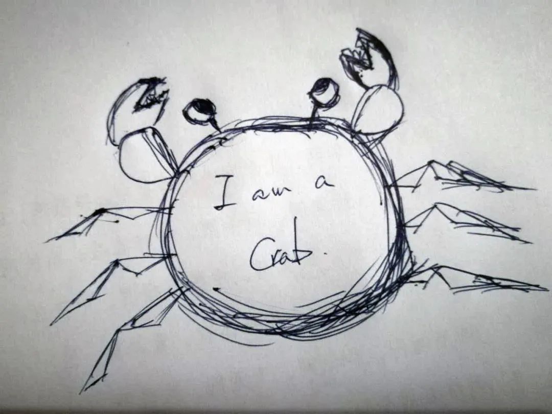 罩袍下的阿富汗,罩袍阿富汗