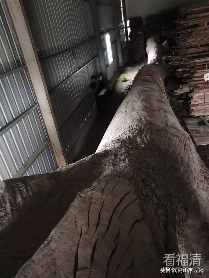 福清老板拥有的一根木头,能值600万?