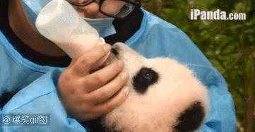 3.15曝光的儿童食品,海关禁用婴儿食品