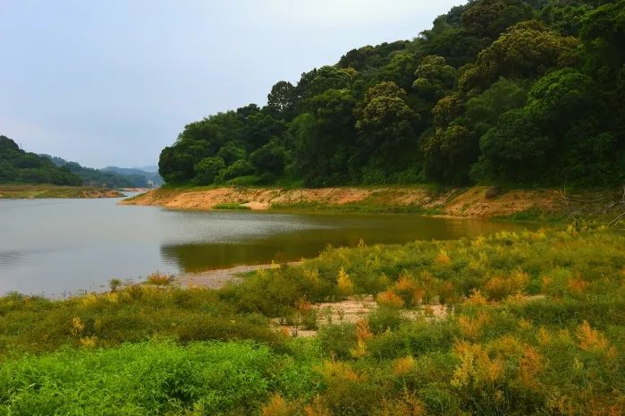 从城市到山林,从城市到田野