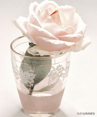 您被“拍了拍”！快来这个新开的“主题换装馆”，体验百变造型