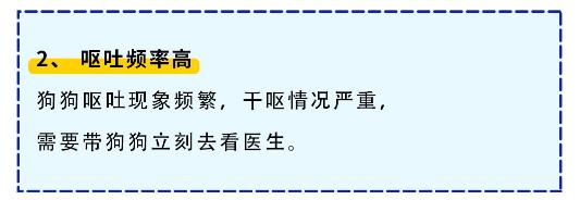 狗狗呕吐最快解决方法,狗狗呕吐严重怎么办吃什么药