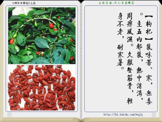 本草纲目中药讲解视频,本草纲目中药图谱及药理讲解